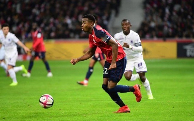 被收录并排 被收录并排