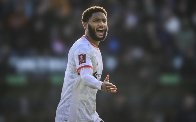 最低可行剂 最低可行剂